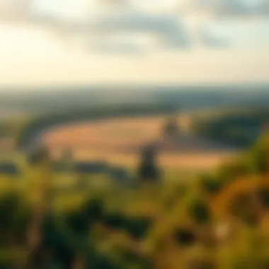 Understanding Land Value Potential A scenic view highlighting land potential